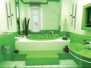 idei-redecorare-baie-verde (2)