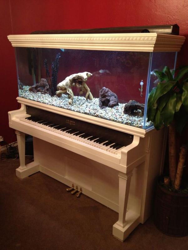 Aquarium-built-into-a-white-piano
