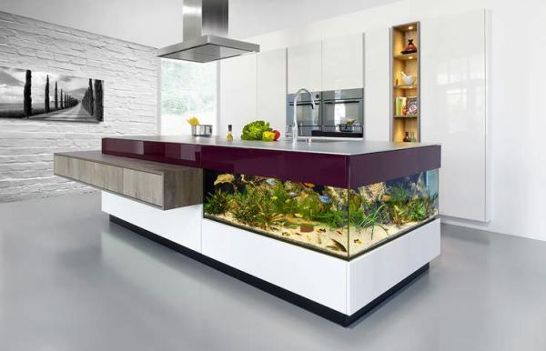 Aquarium-built-into-kitchen-counter-