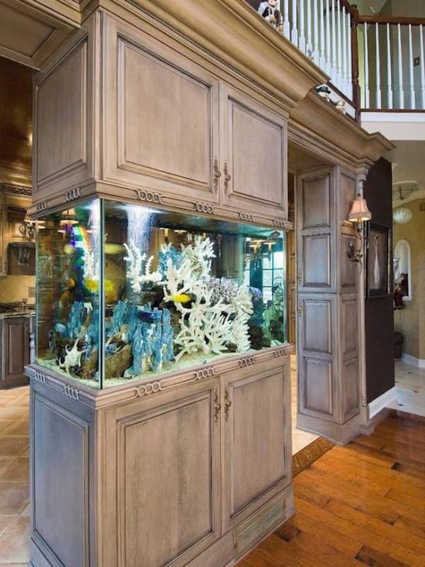 Aquarium-built-into-kitchen-cupboards