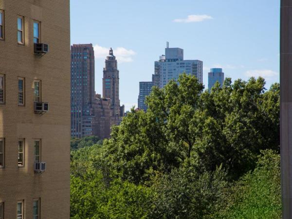 you-can-even-see-central-park-from-the-top-of-the-house