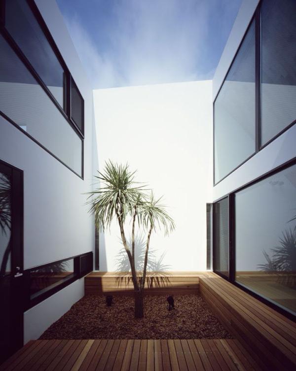 Bright-Japanese-courtyard-with-a-small-tropical-tree