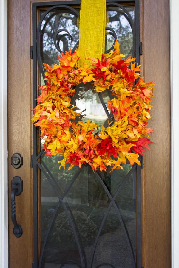 Colorful-Grapevines-and-Leaves