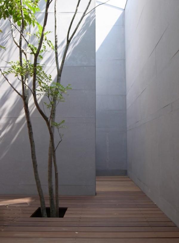 Courtyard-with-tall-walls-and-a-tree-growing-through-the-deck