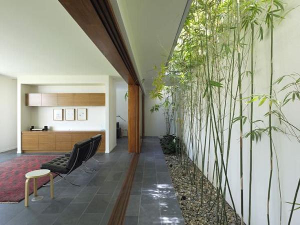 Long-and-linear-courtyard-with-bamboo