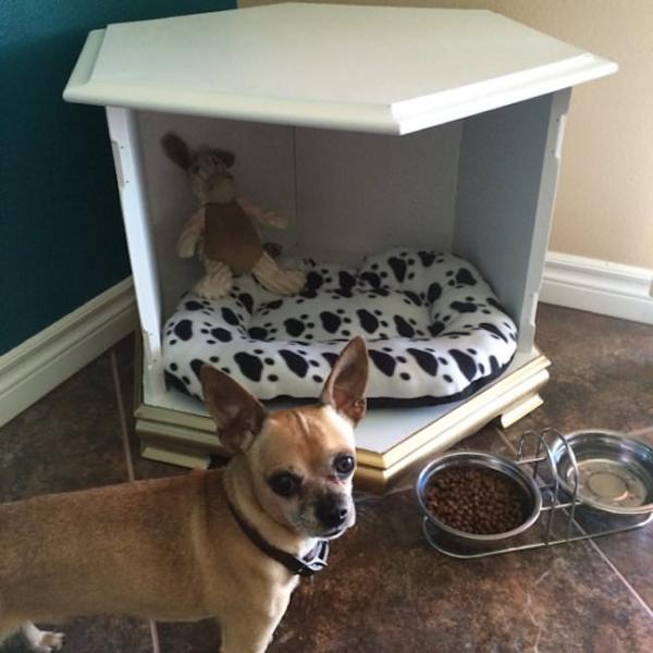 Simple-dog-bed-that-could-be-used-as-a-table-too