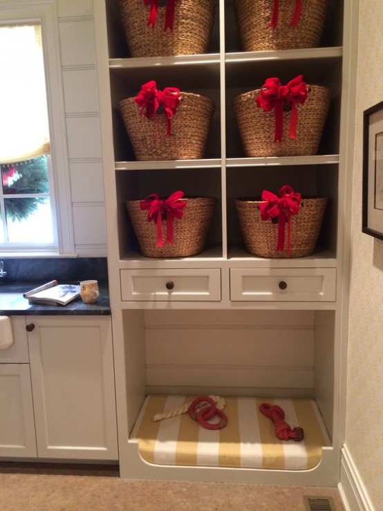 accesorii pentru caini