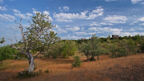 resort in tanzania 6