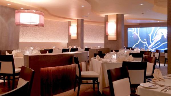 waldorf astoria resort 5