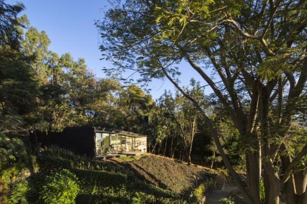 casa de vacanta in padure 1