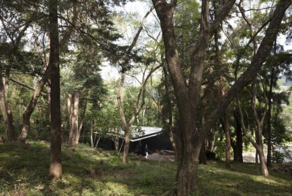 casa de vacanta in padure 2