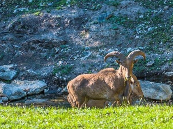 casa-lui-john-paul-dejoria-12