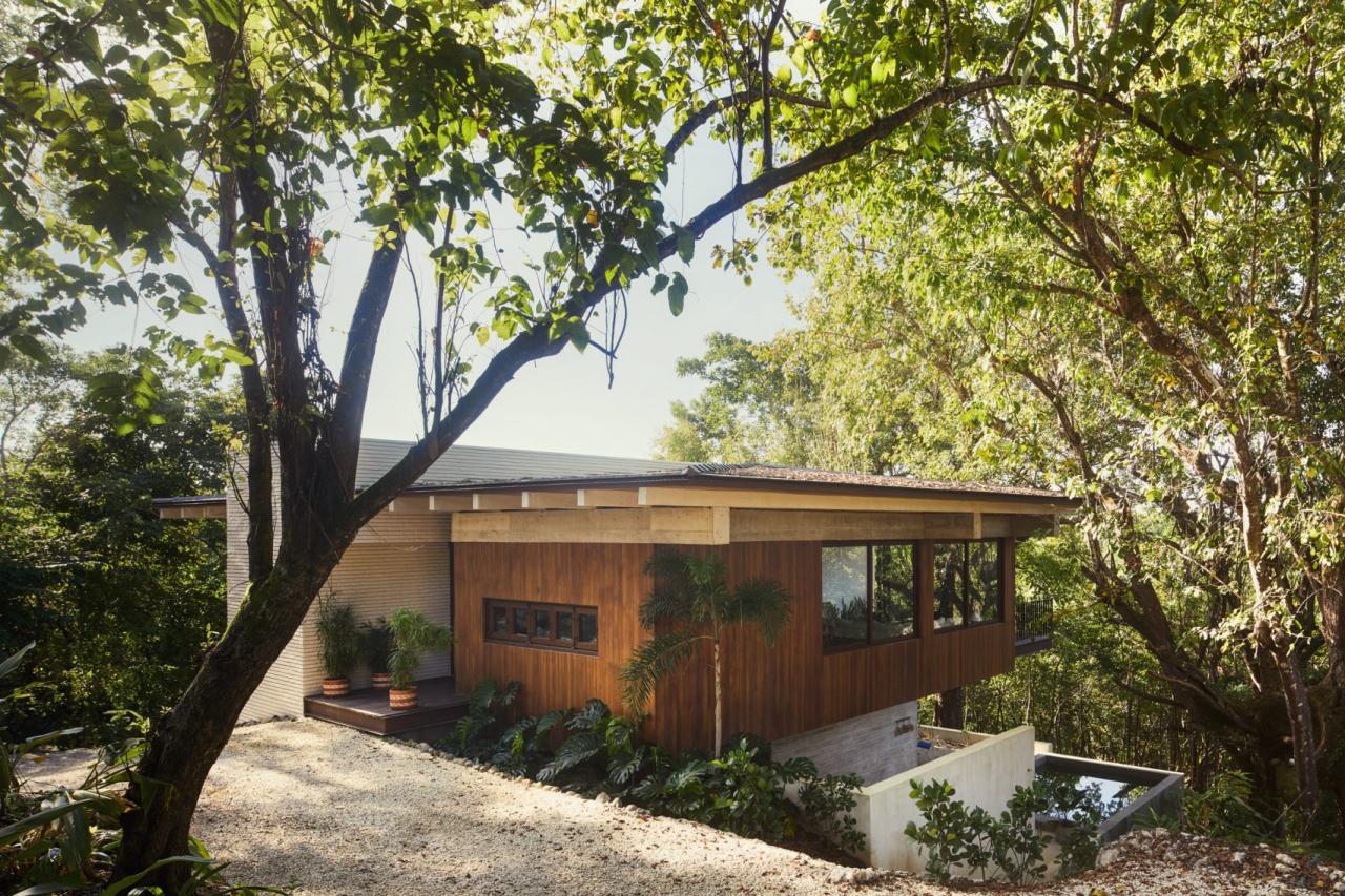 Fatada casei din lemn de teak inconjurata de copaci tropicali, cu piscina exterioara din beton in prim-plan – foto Thibault Cartier / Dezeen