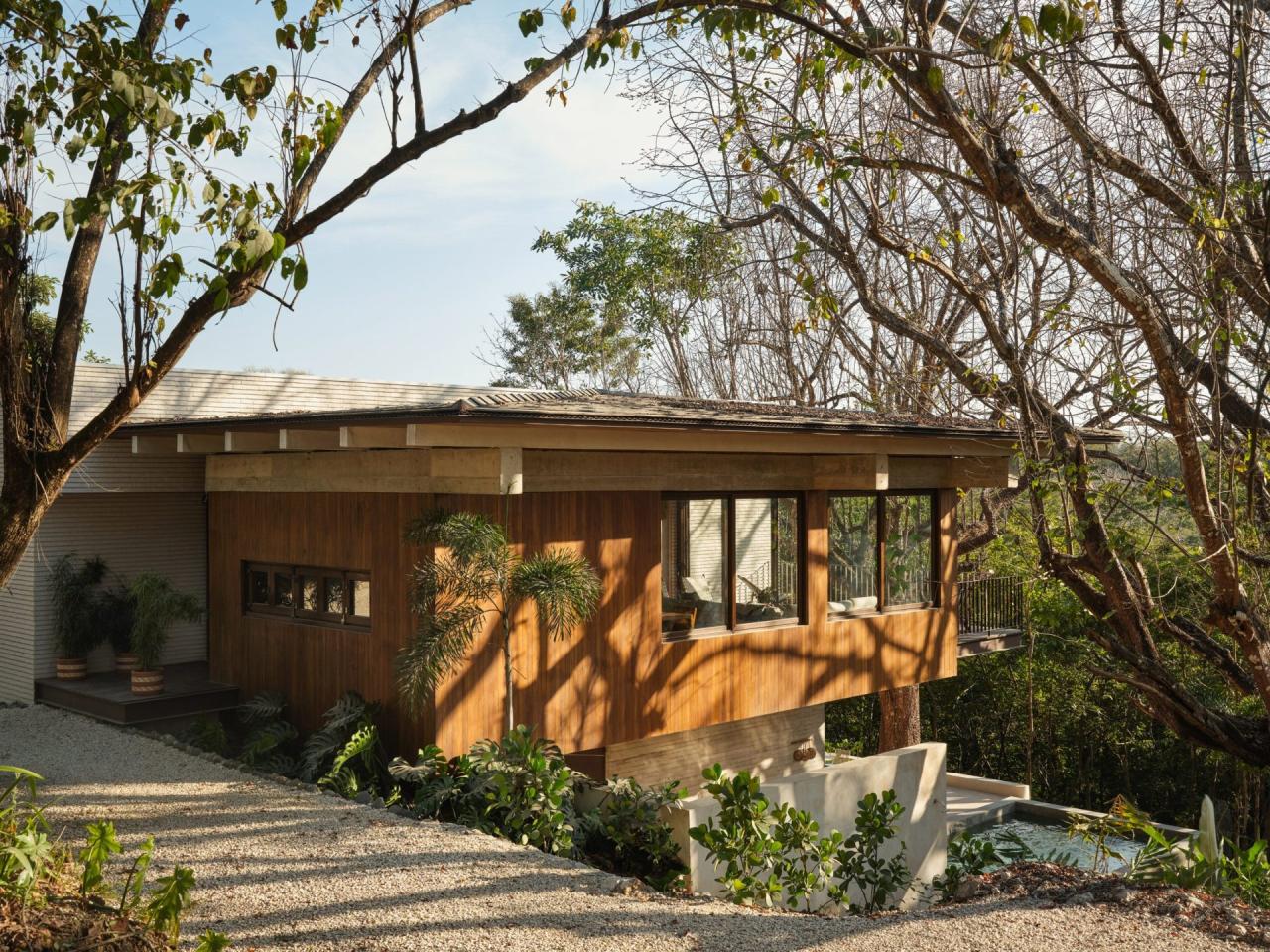 Exterior casa cu fatada din lemn si caramida, inconjurata de vegetatie tropicala uscata si piscina din beton – foto Thibault Cartier / Dezeen
