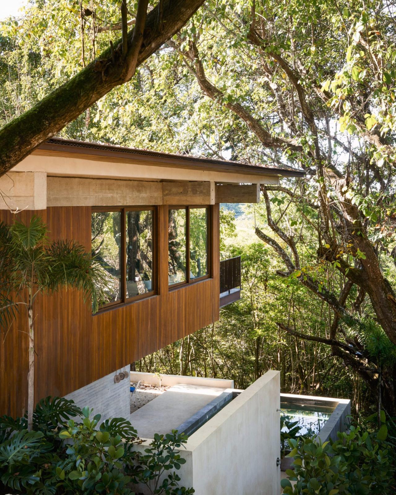 Vedere din gradina spre fatada din lemn a casei, cu piscina din beton si vegetatie tropicala luxurianta – foto Thibault Cartier / Dezeen