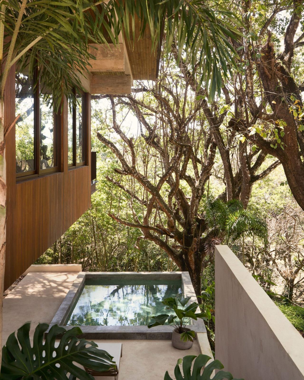 Piscina mica din beton inconjurata de copaci tropicali, cu fatada din lemn a casei in fundal – foto Thibault Cartier / Dezeen