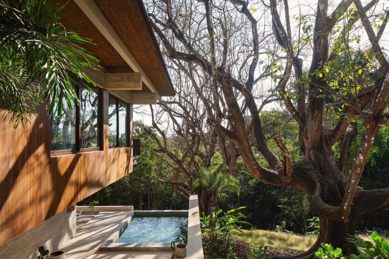 Fatada laterala a casei cu fatada din teak, piscina si copacul pochote in prim-plan – foto Thibault Cartier / Dezeen