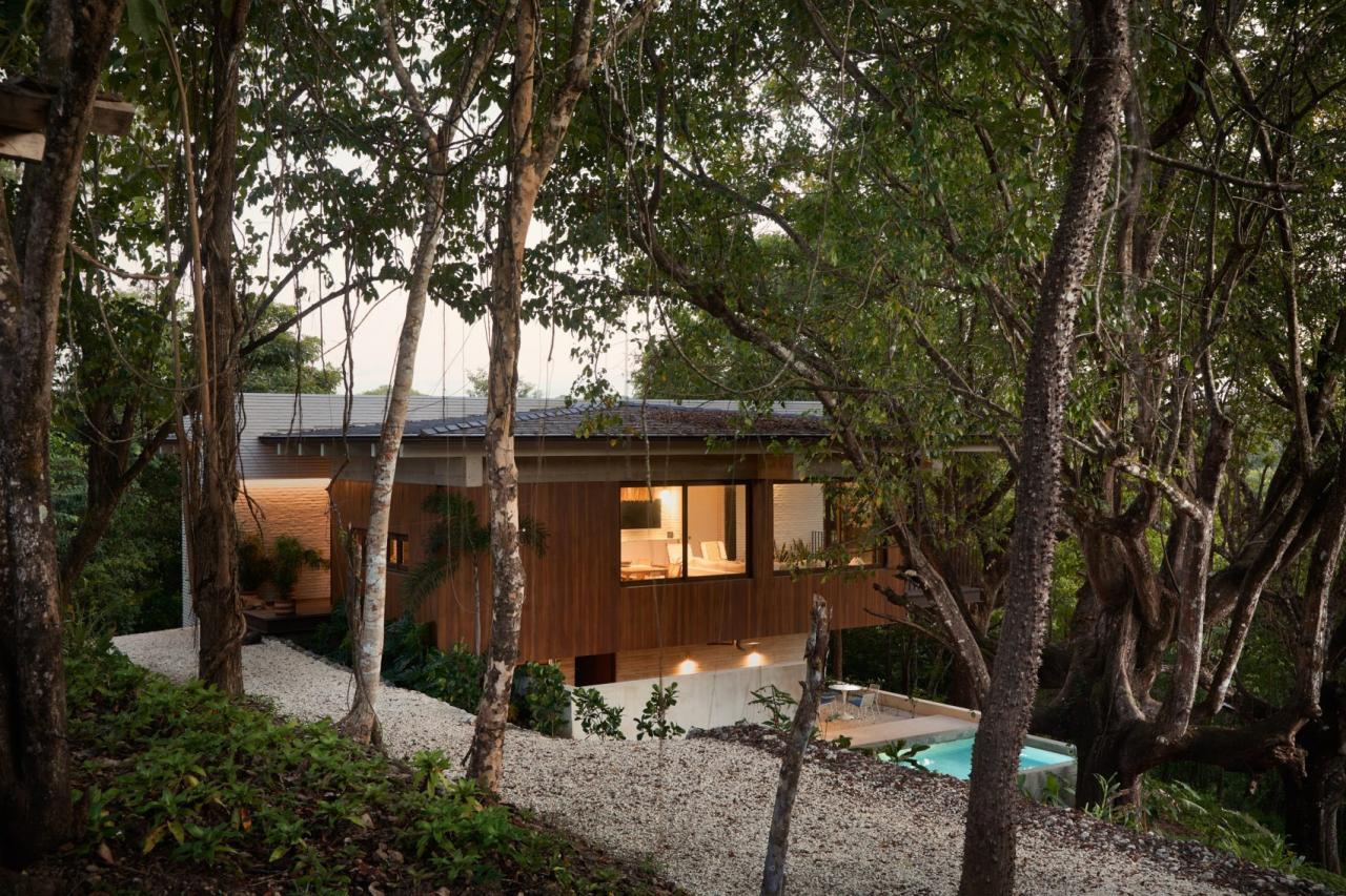 Vedere exterioara nocturna a casei inconjurate de copaci tropicali, cu piscina din beton iluminata in dreapta – foto Thibault Cartier / Dezeen