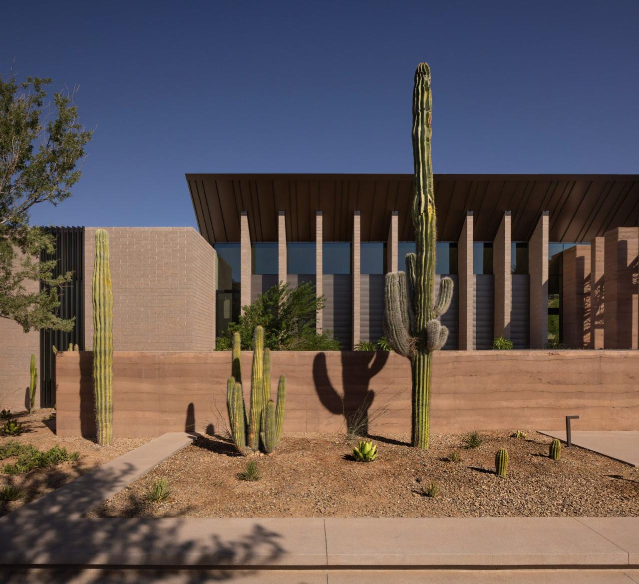 Fatada laterala cu ziduri din rammed earth si cactusi saguaro