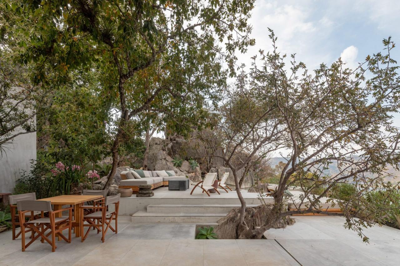 Las Rocas - terasa exterioara cu copaci crescand prin pardoseala