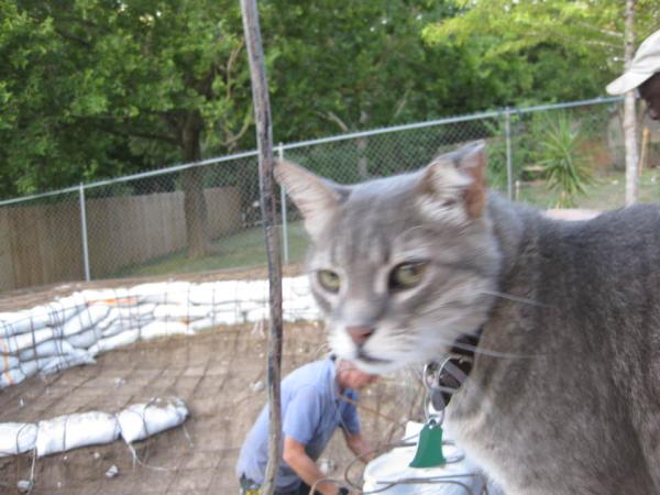 23 - For reddit purposes only