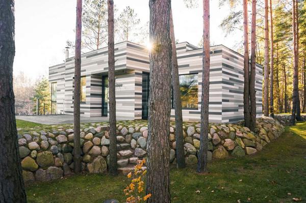 Contemporary-exterior-with-gray-tones-mimics-the-hues-of-a-birch-stump