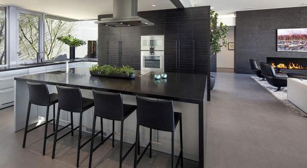 Dark-shelves-in-the-backdrop-add-sophistication-to-the-sleek-kitchen