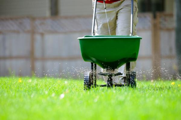 Fertilize-your-lawn-with-care