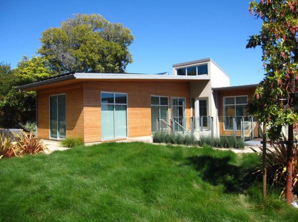 Long-green-healthy-grass