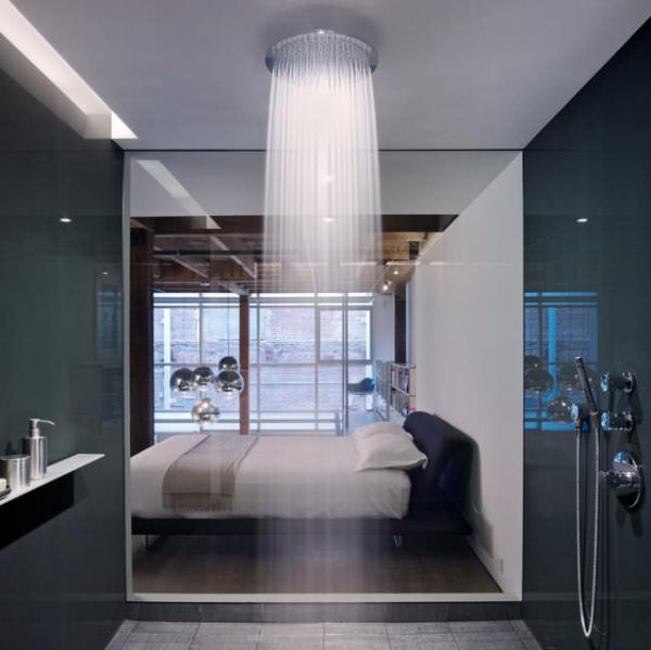 Raindance-Royal-350-AIR-Shower-Head
