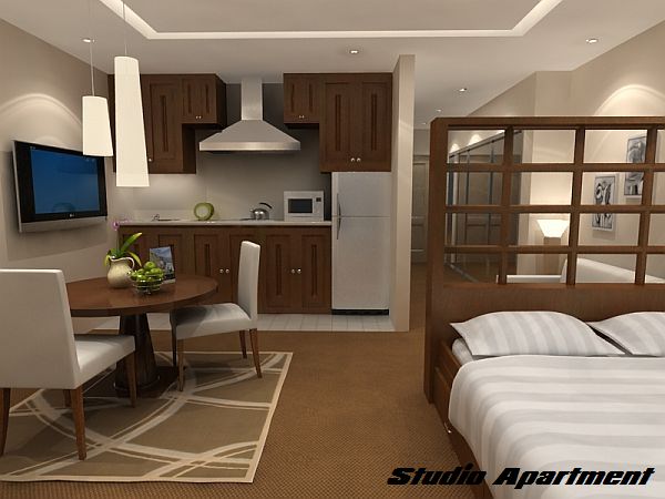 apartament mic 11