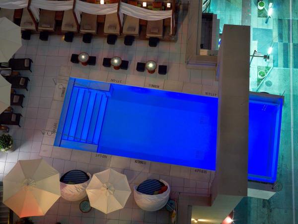 enjoy-great-views-of-the-dallas-skyline-at-the-joule-hotel-where-the-pool-expands-eight-out-from-the-edge-of-the-building