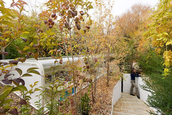 forest-office-iwan-baan2