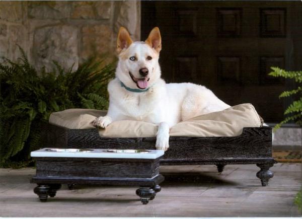 mobilier animale de companie (6)