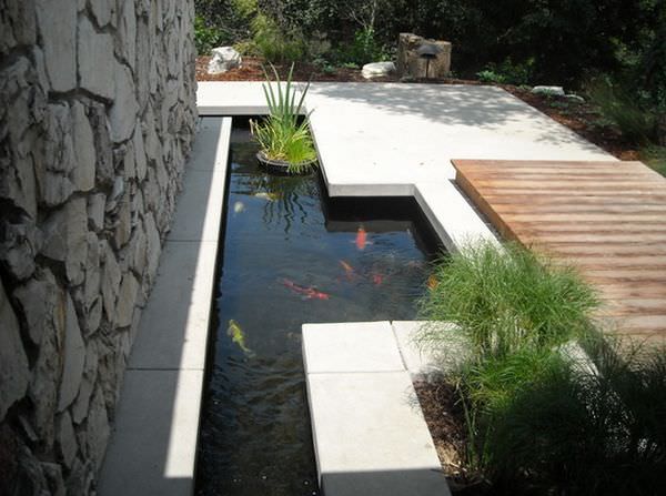 outdoor-koi-pond