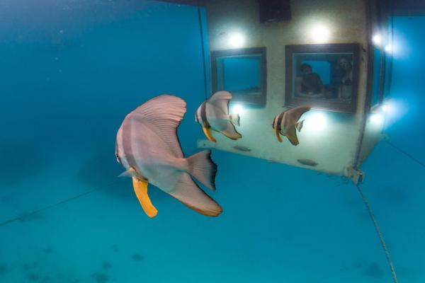 underwater-hotel-the-manta-mikael-genberg-8